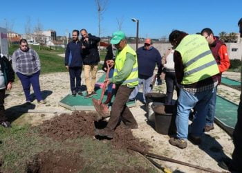 Parque Almirante Vítor Trigueiros Crespo recebe árvore da Cercilei
