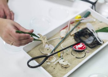 Oceanário forma professores sobre plasticologia marinha