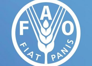 FAO tem novo representante em Moçambique