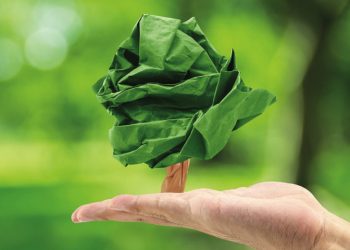 Transdev investe na reflorestação nacional