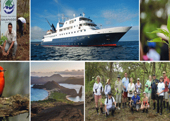 Celebrity Cruises planta mais de 30 mil árvores