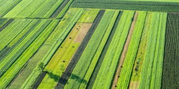 Estudo determina que a população portuguesa desconhece realidade agrícola
