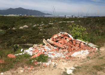 Opinião: “O Fluxo Esquecido”