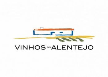 Vinho e floresta: o que têm em comum?