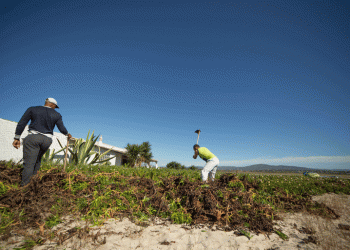 Reclusos limpam Ilha da Armona durante duas semanas