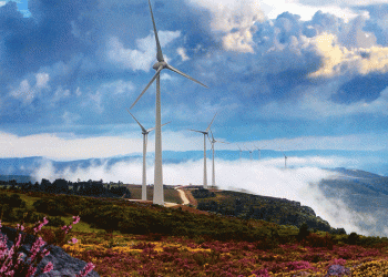 APREN E EREF juntam agentes do setor para debater renováveis