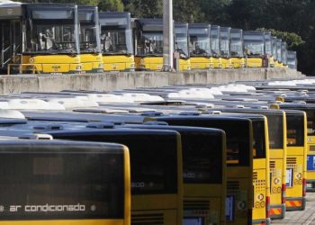 PAN quer que animais de médio e grande porte possam viajar na Carris