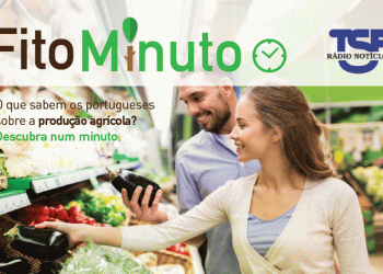 TSF apresenta Fito-Minuto, programa de informação agrícola 