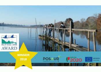 Projeto “Escola da Natureza” de Viana do Castelo ganha prémio europeu