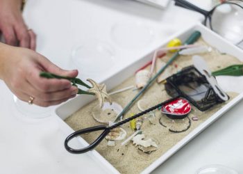 Oceanário de Lisboa dinamiza nova formação sobre plasticologia marinha