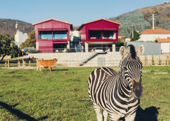 ADENE atribui Prémio de Melhor Solução de Eficiência Energética
