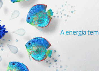 Barómetro de Eficiência Energética da Administração Pública já está em funcionamento