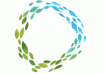 Rede Douro Vivo nasceu hoje para proteger rio e afluentes