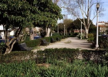 Nova Feira Popular: construção de espaços verdes vai custar 4,4 milhões de euros