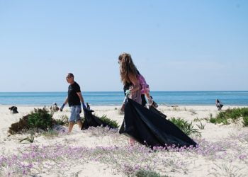 Grupo Hotéis Real recolhe 4.4 toneladas de lixo da Ria Formosa