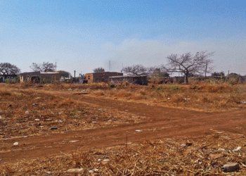 PROCESL-QUADRANTE presta serviços de Assistência Técnica Estratégica em Moçambique