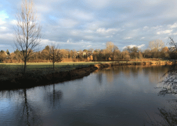 Alemanha é punida por quebrar as leis da UE sobre poluição por nitrato