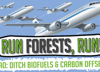 Carta aberta pede que se abandone plano de biocombustíveis de aviação e compensações de carbono
