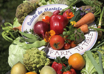 Quinta do Martelo recebe 12.ª Green Key