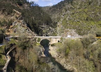 “A voz da floresta do Arouca” é o mote da ação de voluntariado