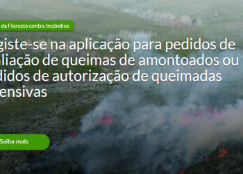 ICNF avisa por SMS ou email se pode fazer uma fogueira em segurança