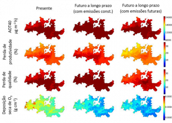 DOUROZONE estuda o efeito do ozono nas vinhas do Douro