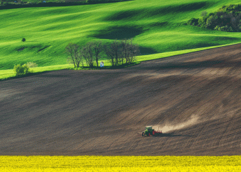 Cerca de 98,4% dos produtos avaliados em Portugal estão em segurança