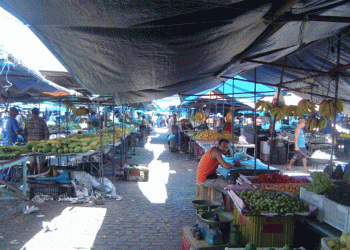 Governo disponibiliza quase um milhão de euros para tornar mercados de frescos mais sustentáveis