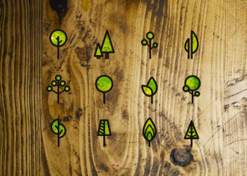 Projecto Melhor Eucalipto na Expofacic amanhã e a 1 de agosto