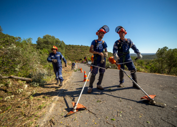 Projeto pioneiro com reclusos leva Secretário de Estado das Florestas a Olhão