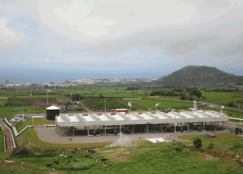 Produção de energia renovável aumentou nas Regiões Autónomas