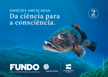 Oceanário alerta que é urgente um maior envolvimento da sociedade na proteção dos Oceanos