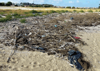 Dez escolas juntam-se para recolher lixo nas praias do Porto