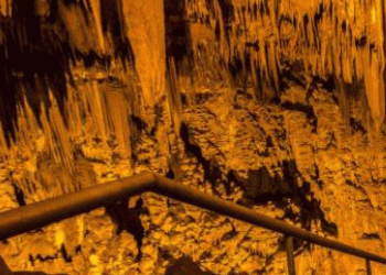 Novas espécies cavernícolas tornam Portugal referência na biodiversidade subterrânea