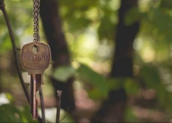 Zero quer que pareceres da Comissão de Acesso aos Documentos Administrativos sejam vinculativos