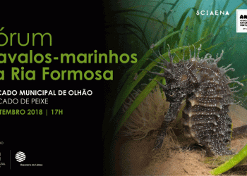 Fórum Cavalos Marinhos da Ria Formosa