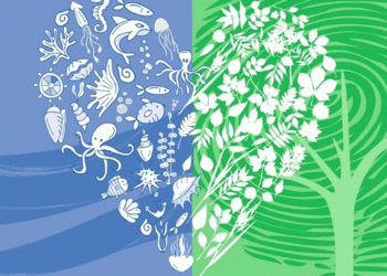 Estão abertas as inscrições no Programa Eco-Escolas 2018/19