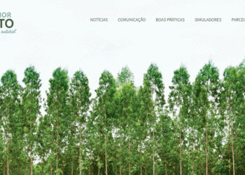 Produtores florestais defendem boas práticas