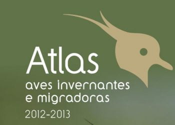 Lançado o 1.º Atlas das Aves Invernantes e Migradoras de Portugal