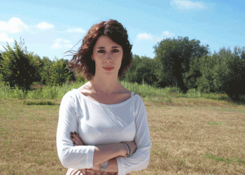 Qualidade do ar no Porto pode melhorar com árvores estrategicamente plantadas