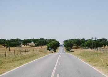 Três ciclistas amadores vão percorrer a Estrada Nacional 2 a plantar árvores