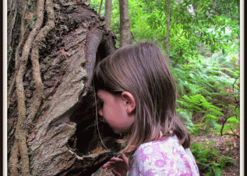 Parques de Sintra e Movimento Bloom lançam Escola da Floresta Bloom