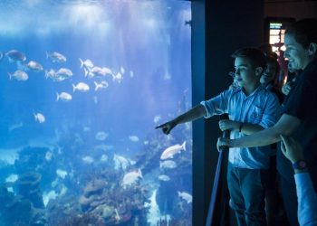 Alterações Climáticas em destaque no novo programa de educação do Oceanário de Lisboa 