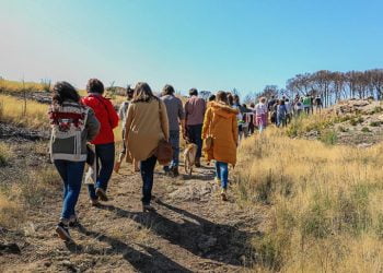 Um ano depois do fogo, o Chão do Rio abriu portas para celebrar um dia pela Floresta