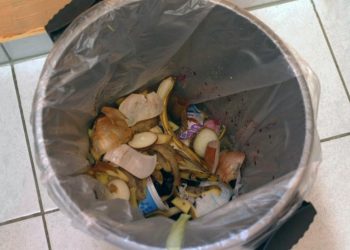 Restaurantes mostram-se mais conscientes e ativos no combate ao desperdício alimentar