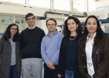 Equipa da FCTUC desenvolve molécula natural para substituir o tóxico estireno