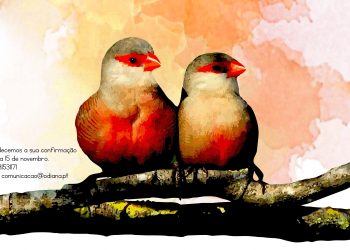 Odiana promove workshop e visita de campo ornitológica