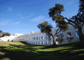 Contabilidade Social e Ambiental em debate no Politécnico de Setúbal