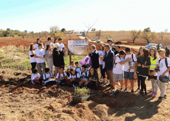 Loulé assinala Dia da Floresta Autóctone com iniciativas de sensibilização