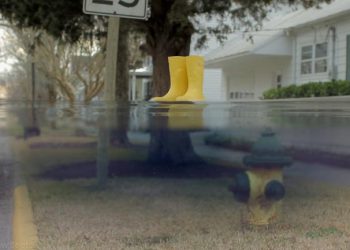 Filmes do Festival Cine Eco em exibição em Lisboa